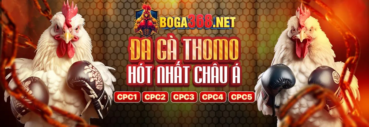 Hình ảnh Chính sách Bảo mật VZ99